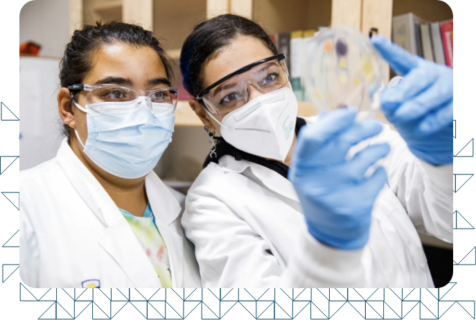 Two scientists in a laboratory wearing lab coats, face masks, safety goggles examining a Petri dish