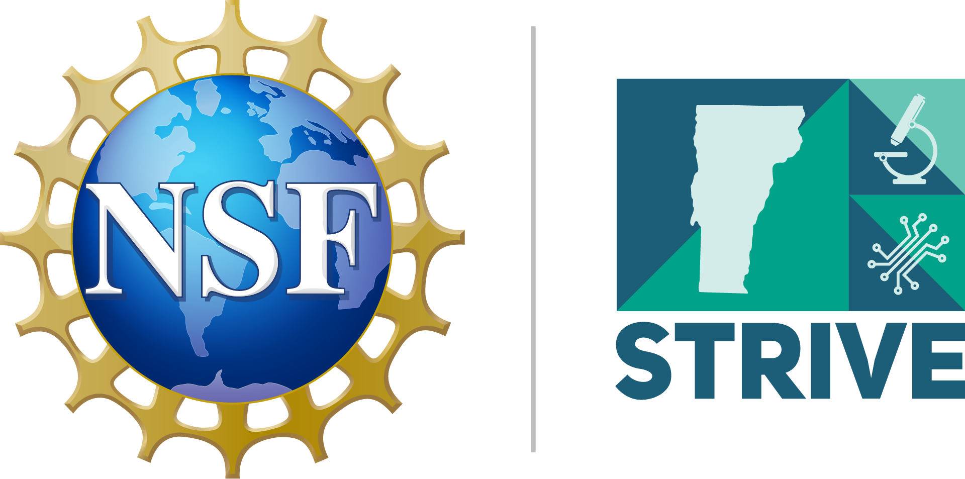 NSF STRIVE Logo