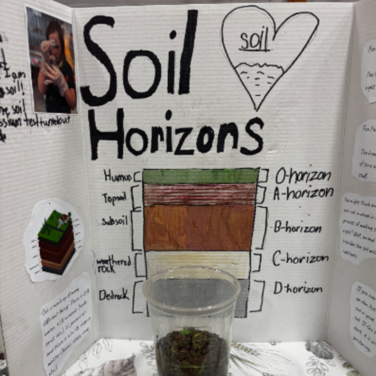 Soil Horizons poster made by students at Vermont Farm and Forest event.