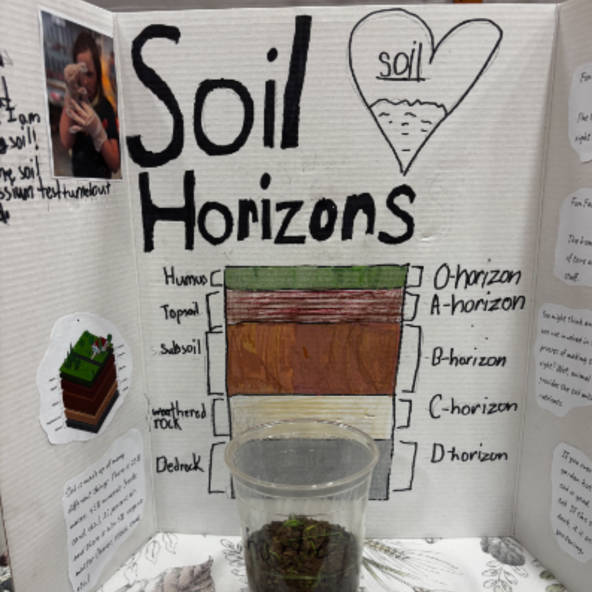 Soil Horizons poster made by students at Vermont Farm and Forest event.