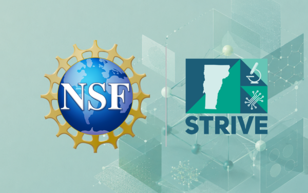National Science Foundation and STRIVE logo